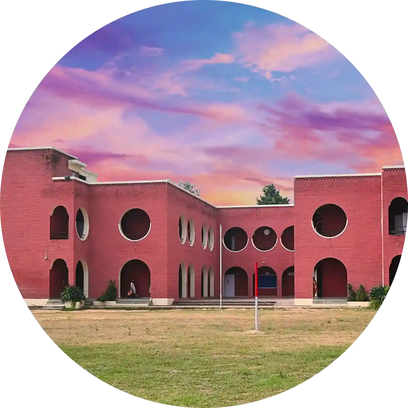 svgn cir_11zon